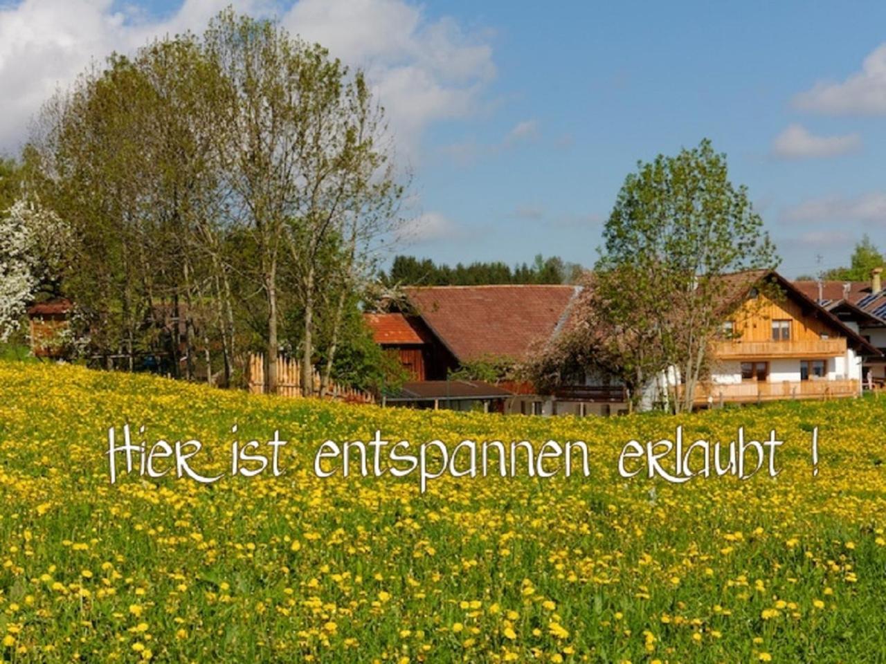 Apartamento Ferienhof Am Holderbusch Füssen Exterior foto